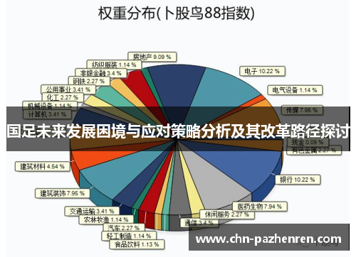 国足未来发展困境与应对策略分析及其改革路径探讨