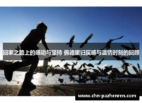 回家之路上的感动与坚持 佩德里归属感与温情时刻的回顾