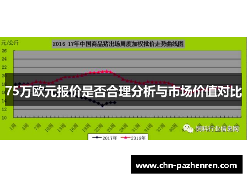 75万欧元报价是否合理分析与市场价值对比