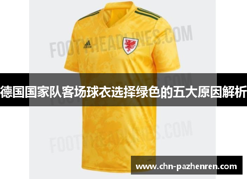 德国国家队客场球衣选择绿色的五大原因解析