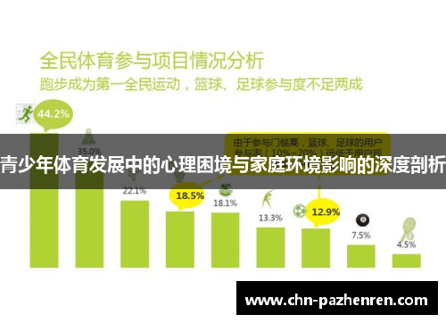 青少年体育发展中的心理困境与家庭环境影响的深度剖析