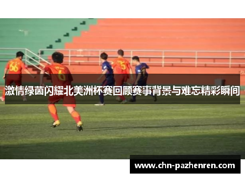 激情绿茵闪耀北美洲杯赛回顾赛事背景与难忘精彩瞬间
