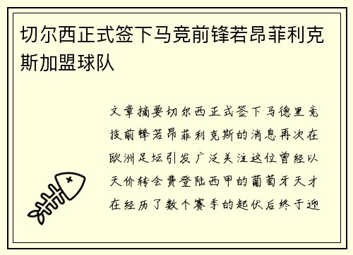 切尔西正式签下马竞前锋若昂菲利克斯加盟球队