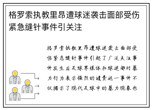 格罗索执教里昂遭球迷袭击面部受伤紧急缝针事件引关注
